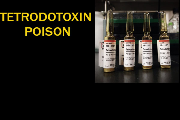 Tеtrоdоtоxin Poison